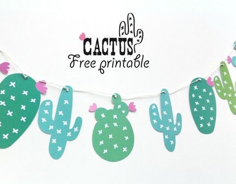 cactus guirlande